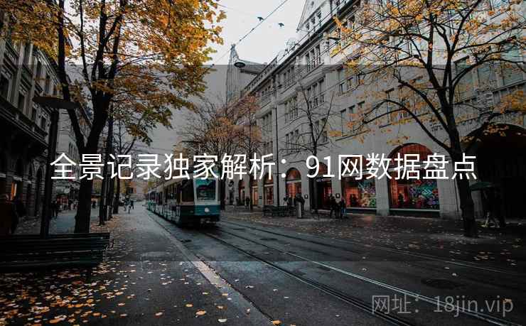 全景记录独家解析：91网数据盘点
