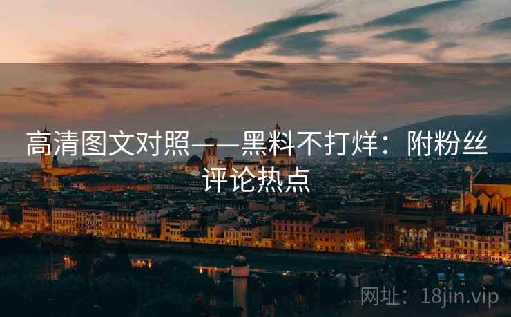 高清图文对照——黑料不打烊：附粉丝评论热点
