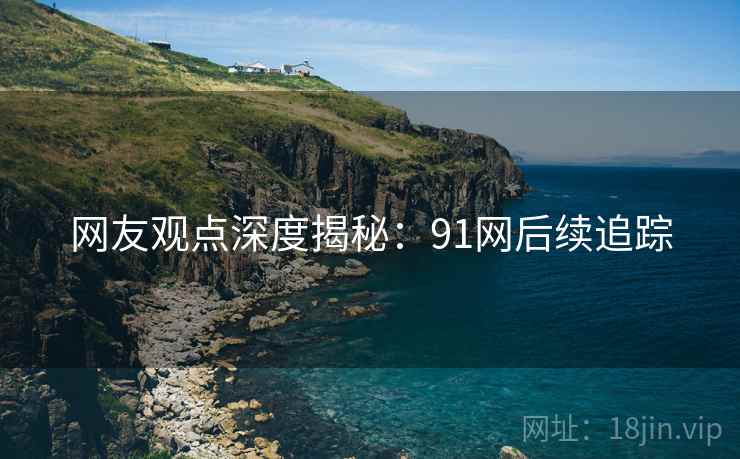 网友观点深度揭秘：91网后续追踪