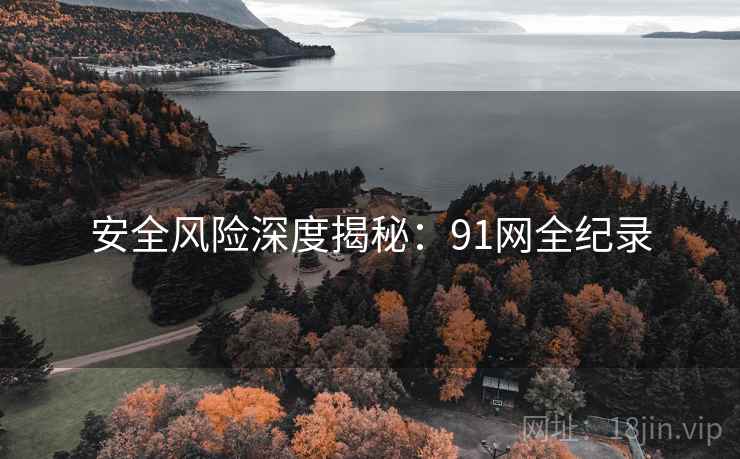 安全风险深度揭秘：91网全纪录