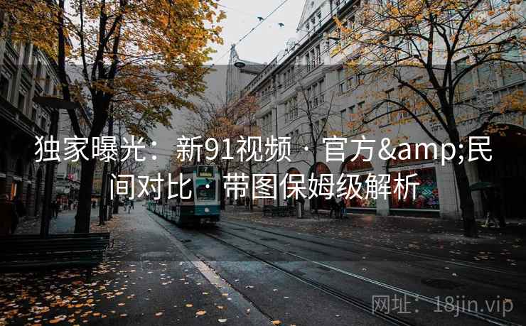独家曝光：新91视频 · 官方&民间对比 · 带图保姆级解析