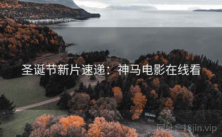 圣诞节新片速递：神马电影在线看