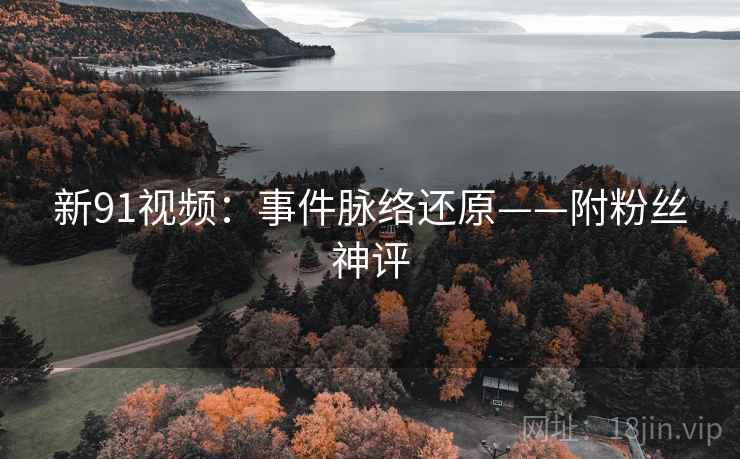 新91视频：事件脉络还原——附粉丝神评